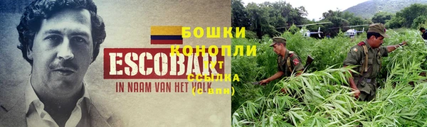 трава Алзамай