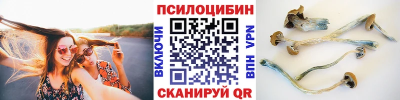 Псилоцибиновые грибы мицелий  blacksprut ONION  Игра 